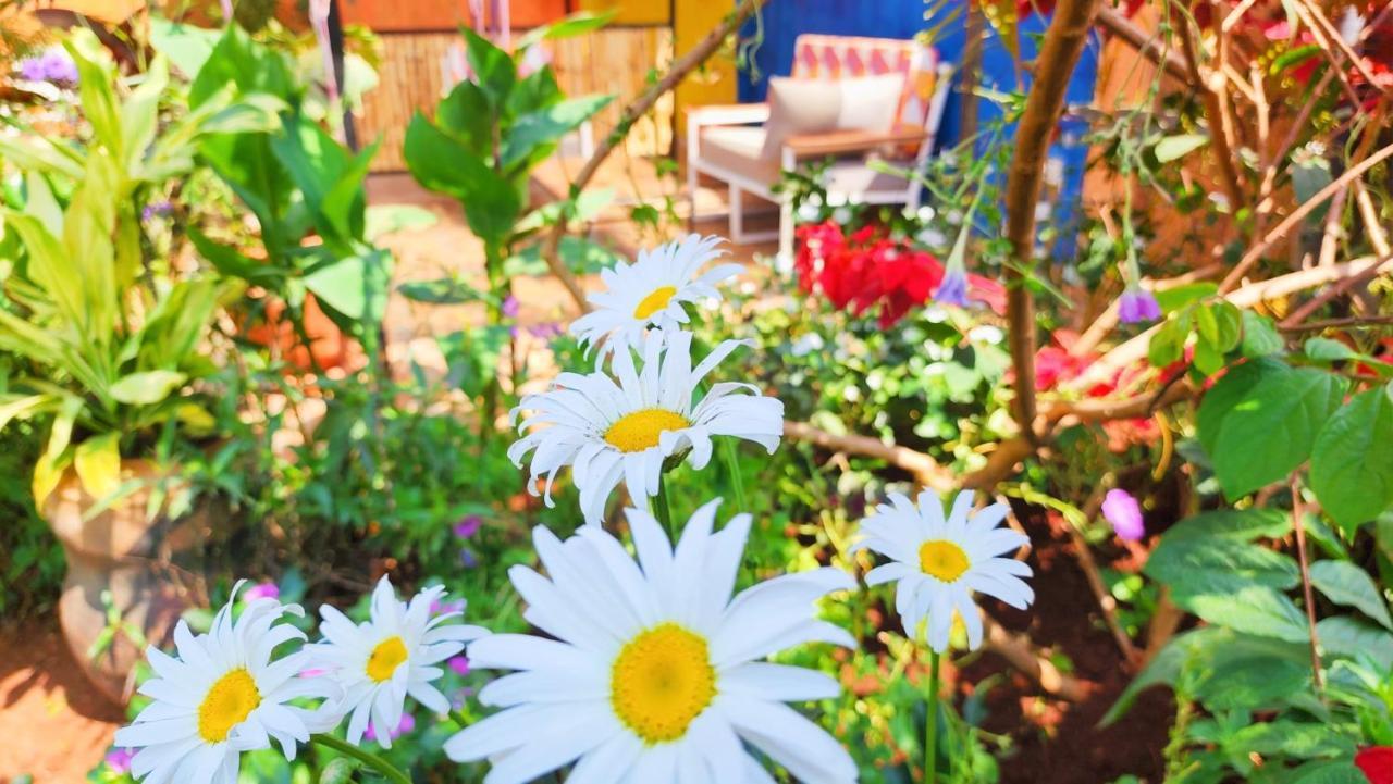 Yambi Guesthouse Kigali Eksteriør bilde